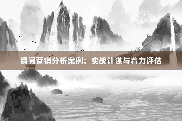 阛阓营销分析案例：实战计谋与着力评估
